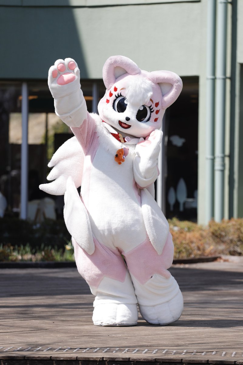 ドラポン tweet media