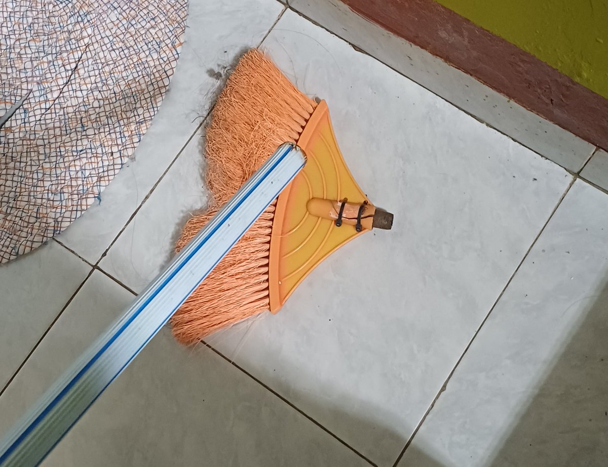 alisnya carmen 🌴 tweet media