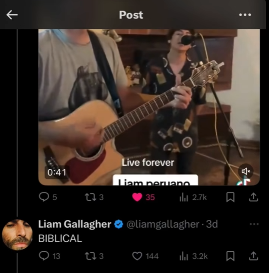 bluesdelirios's tweet photo. Nuestro Liam Gallagher tiene la BENDICIÓN y RECONOCIMIENTO del verdadero artista! Ricardo merece pasar directamente a la final, NO SE CONFIEN Y NO PAREN DE VOTAR POR EL MI GENTE 🤘🏼🇬🇧💗 #YoSoy https://t.co/7GDFBps47A