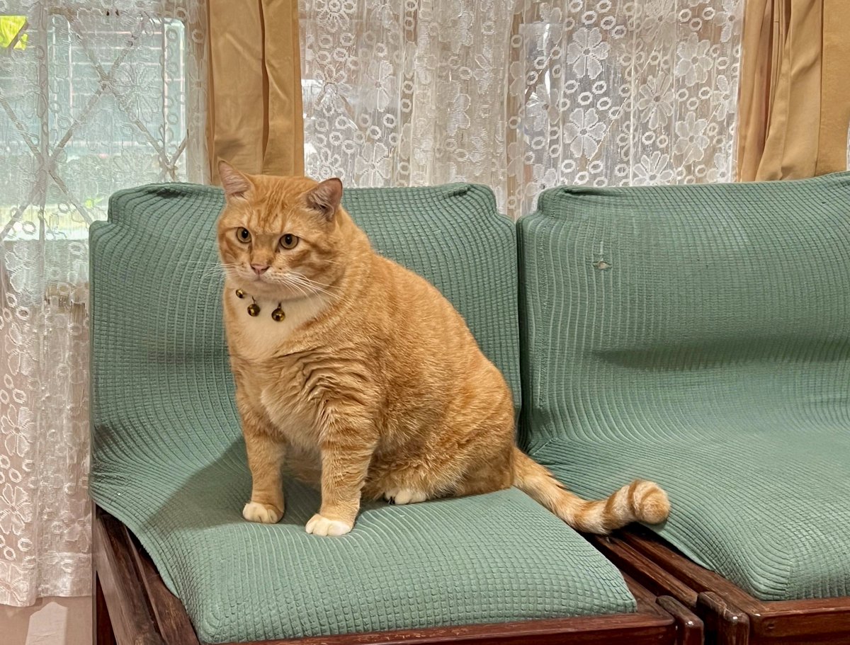 Pak RT Koko tweet media