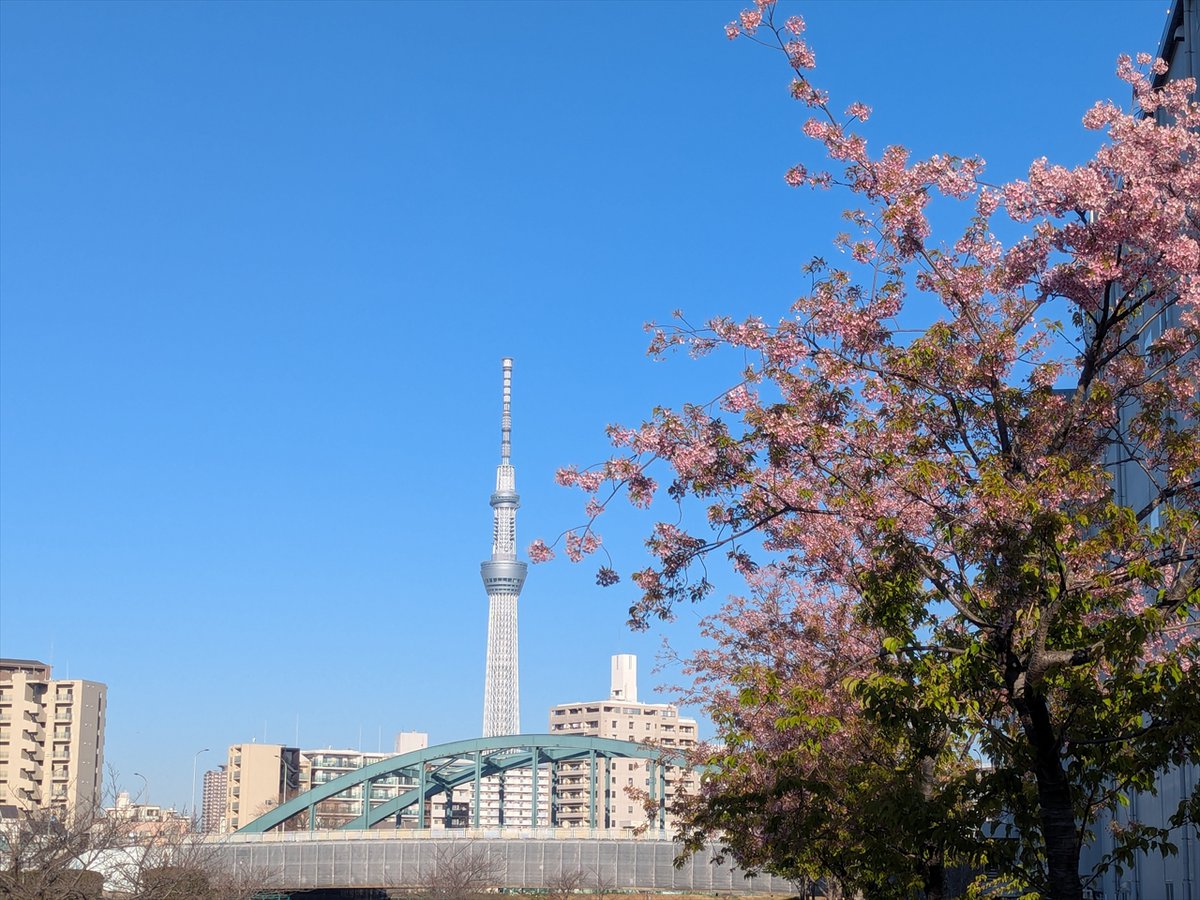 旅先での写真 tweet media