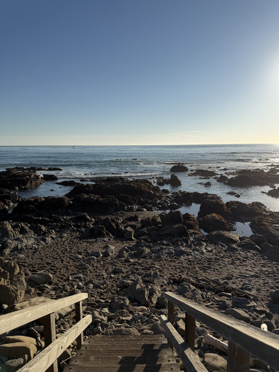 Wayne Sutton tweet media