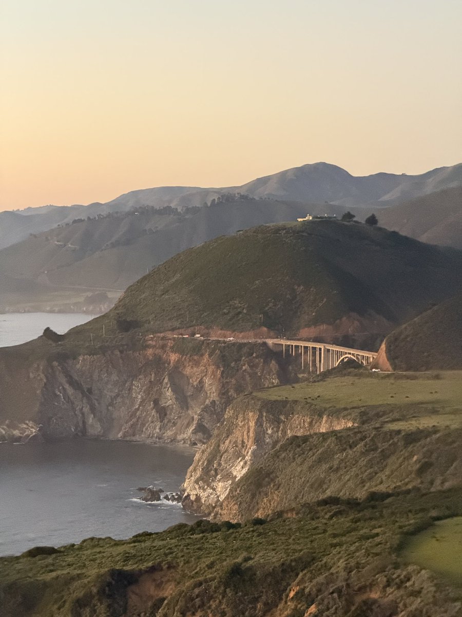 Wayne Sutton tweet media