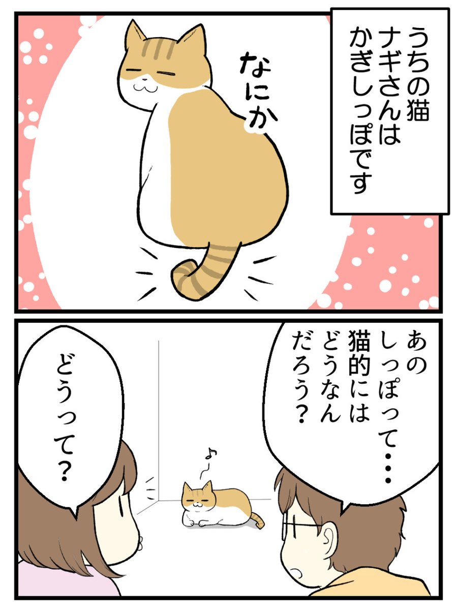 猫のかぎしっぽをまじめに考えた結果(1/2) 