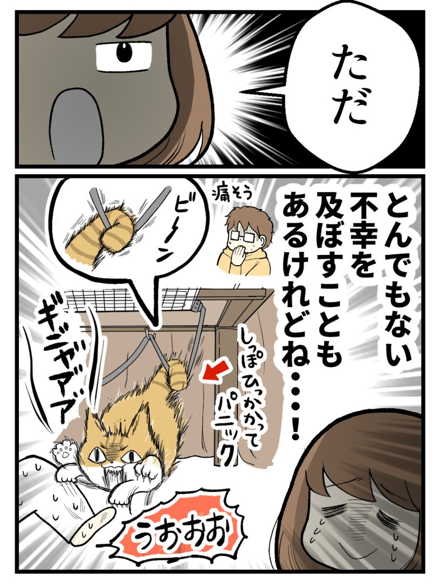 (2/2) 