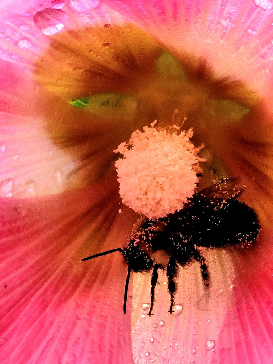 📸 Sue 📸 tweet media