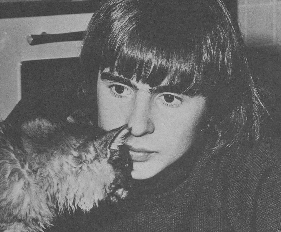 the oneᝰ.ᐟ tweet media