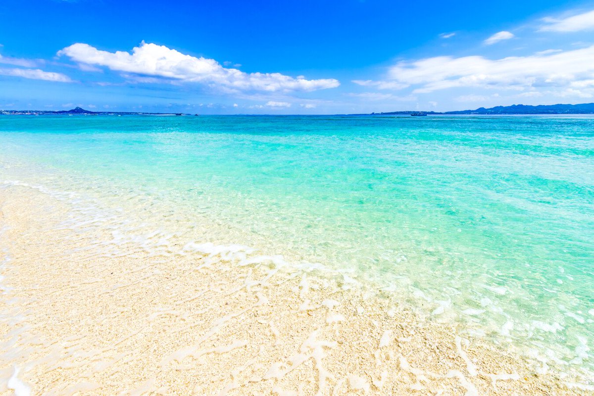 ♫musicbed✨️投資🐕️ tweet media