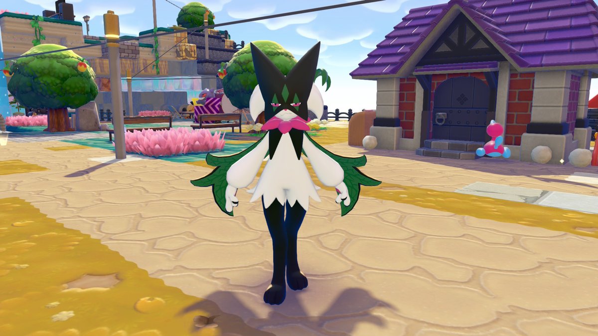 🦈『사메』🦈 tweet media