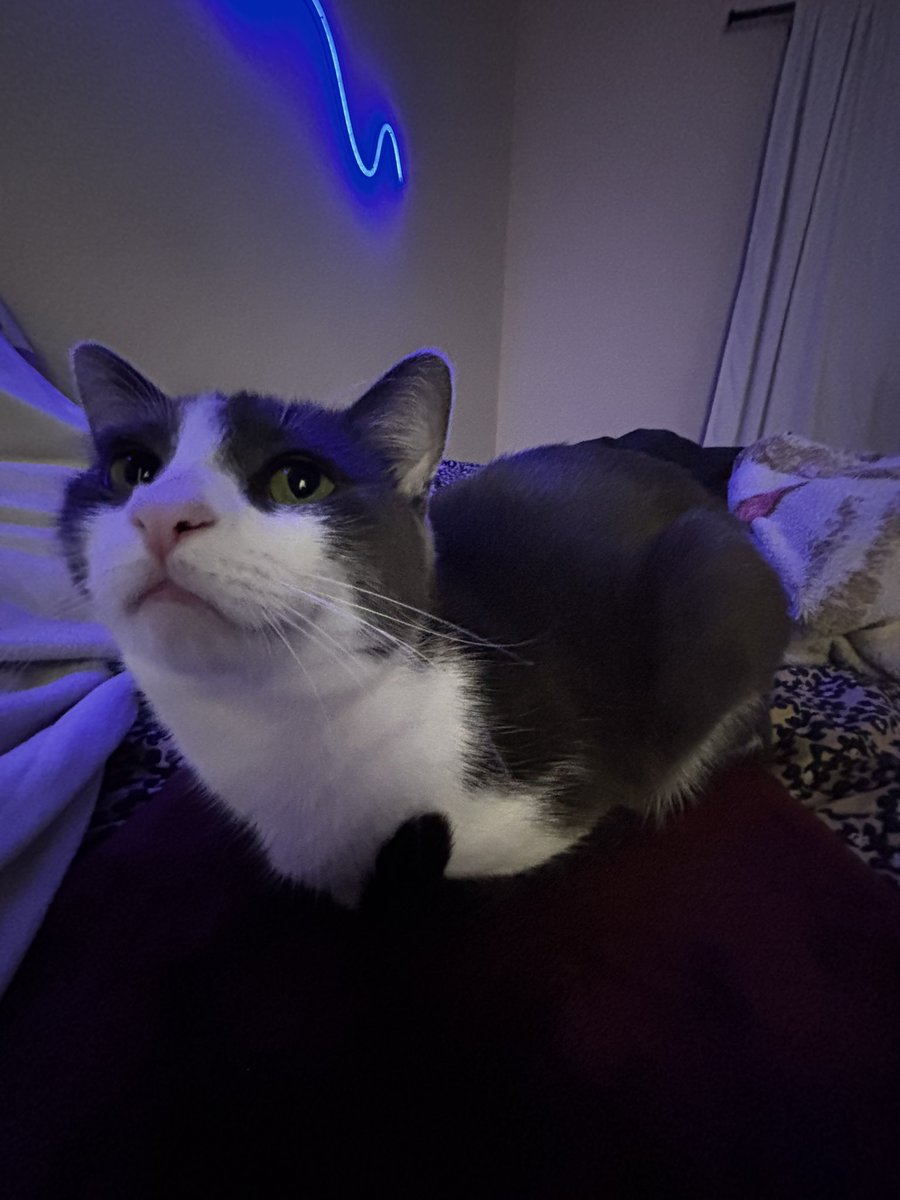 Ghost Jen ‎♡✧₊⁺ tweet media