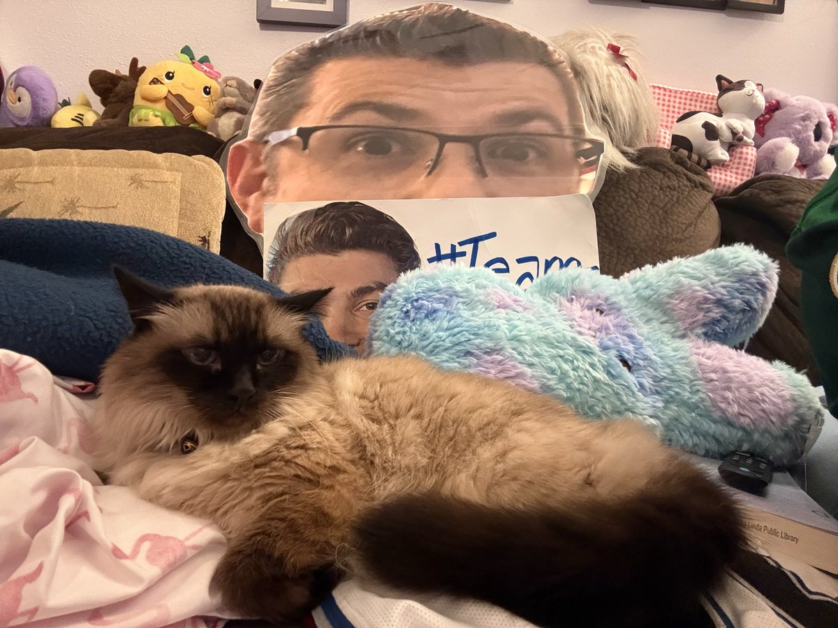 AvsAngelsChick tweet media