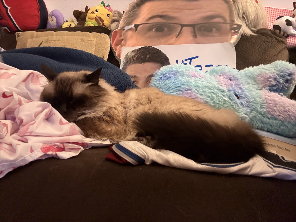 AvsAngelsChick tweet media