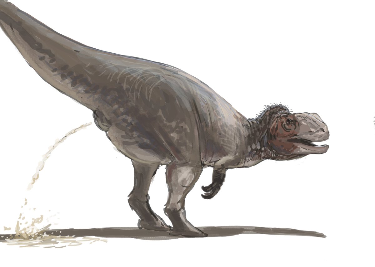 Joschua Knüppe tweet media