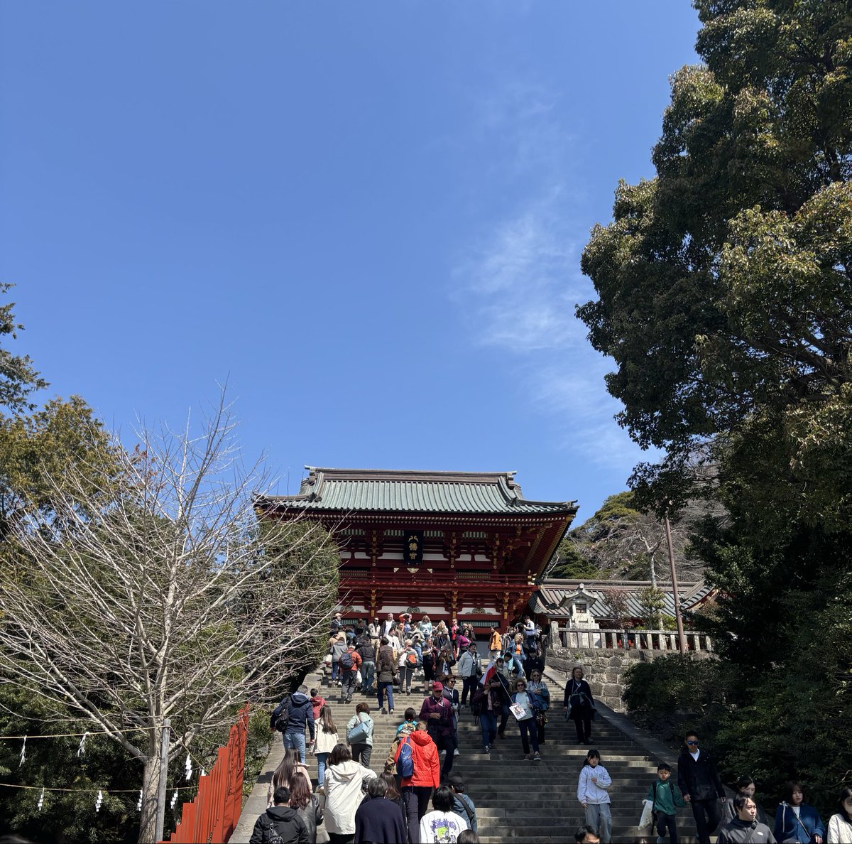 たまめ tweet media