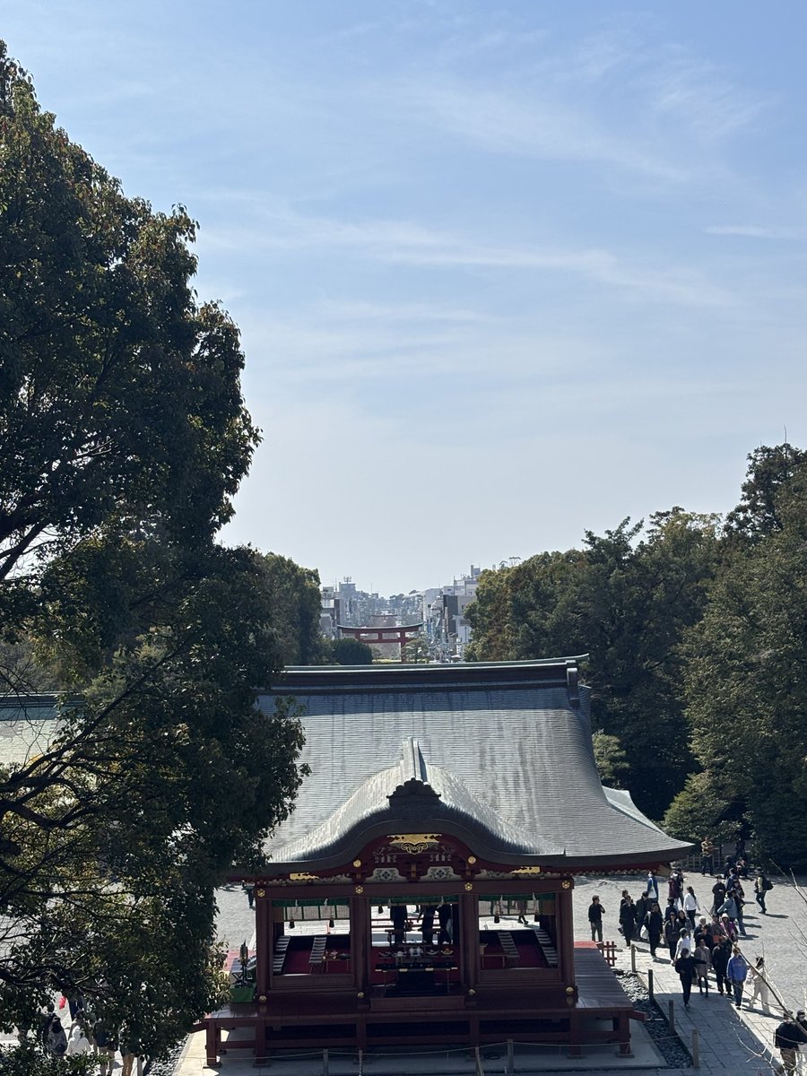 たまめ tweet media