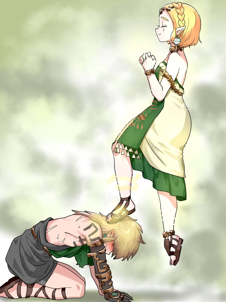 モドレコを足から授けるゼルダ様 