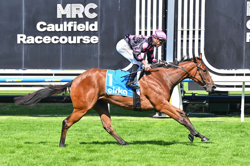 Tara Madgwick tweet media