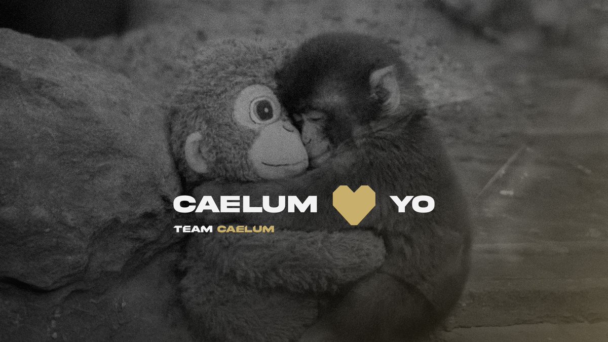 Team Caelum tweet media