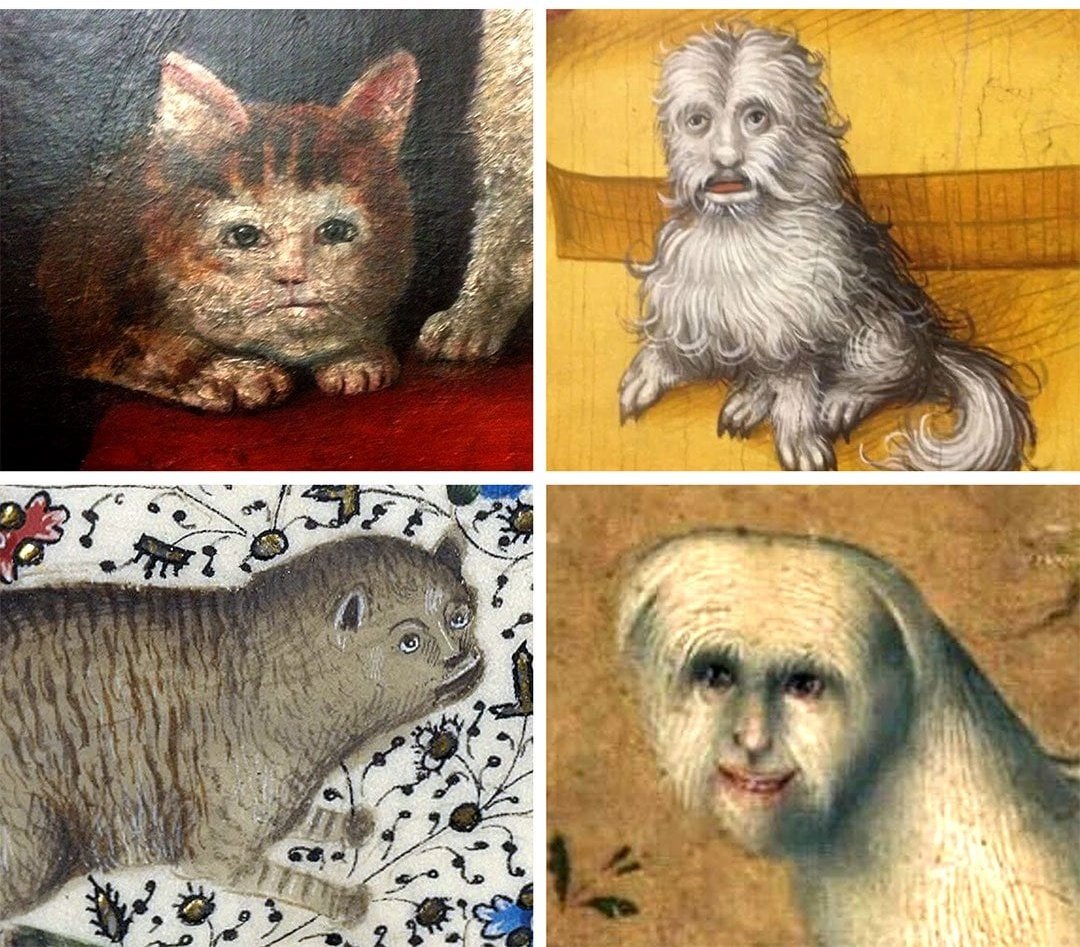 FoxxTrot 🦊🪄 tweet media