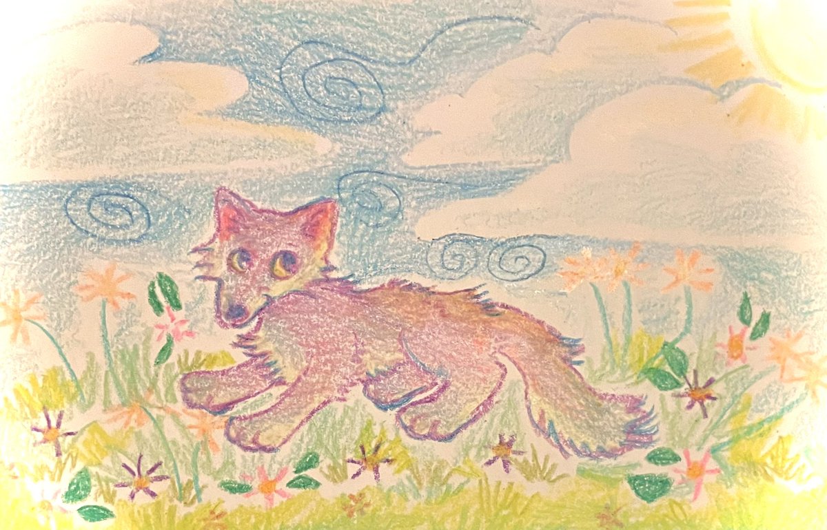 pon 🪲 tweet media