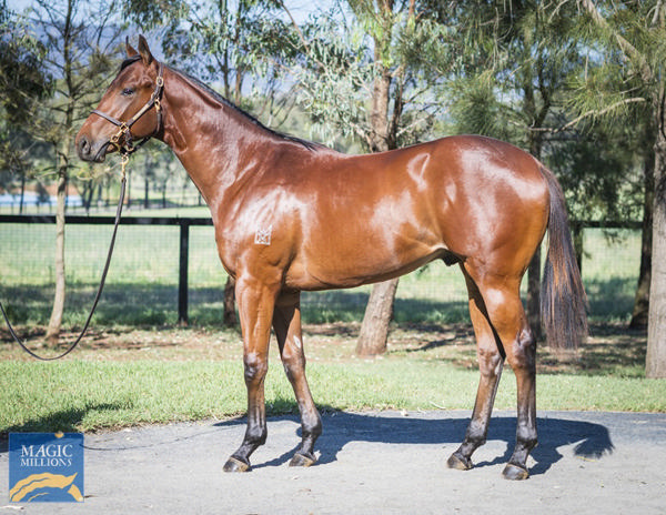 Tara Madgwick tweet media