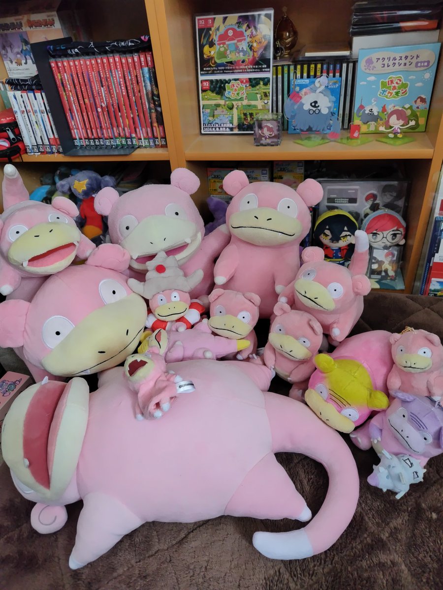 やなぎ博士と相棒ヤドちゃん tweet media