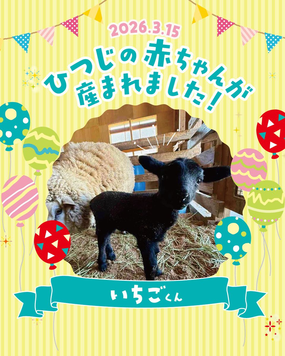 【公式】滋賀農業公園ブルーメの丘 tweet media