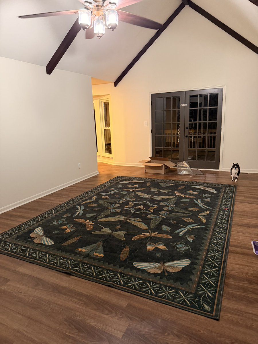 Guts 🔜 FWA tweet media