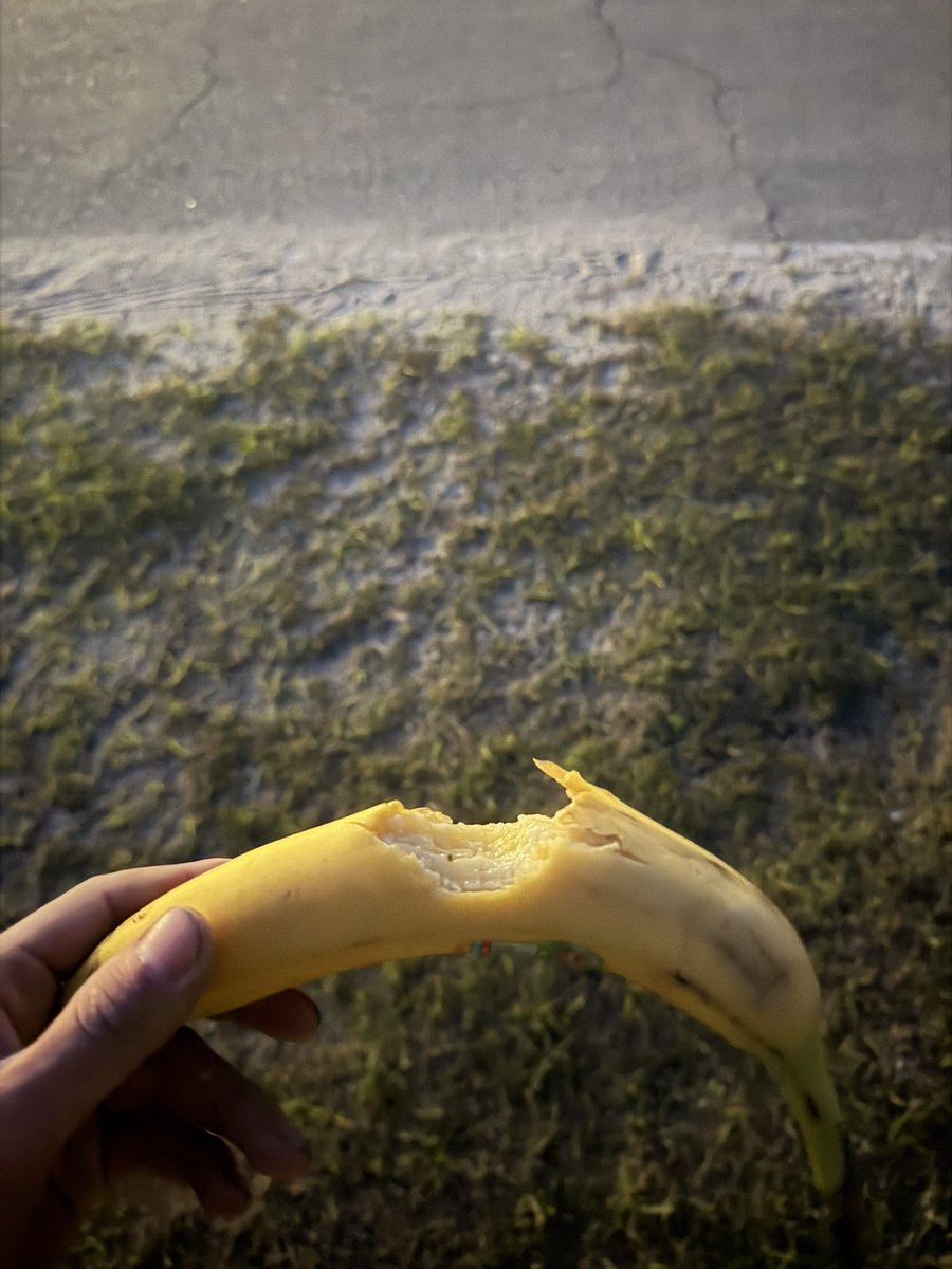 squirtguzzler tweet media