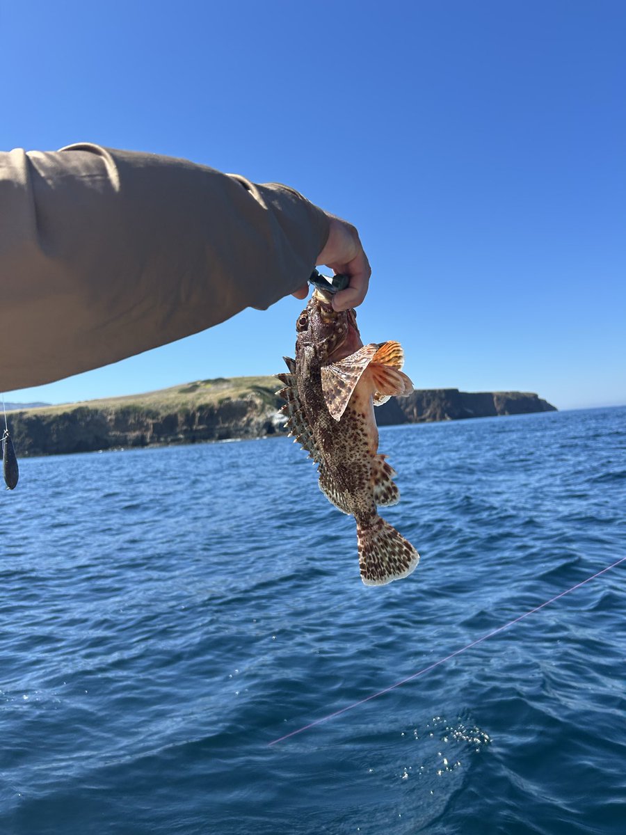 Rustygoogar tweet media