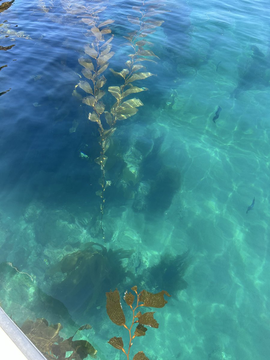 Rustygoogar tweet media