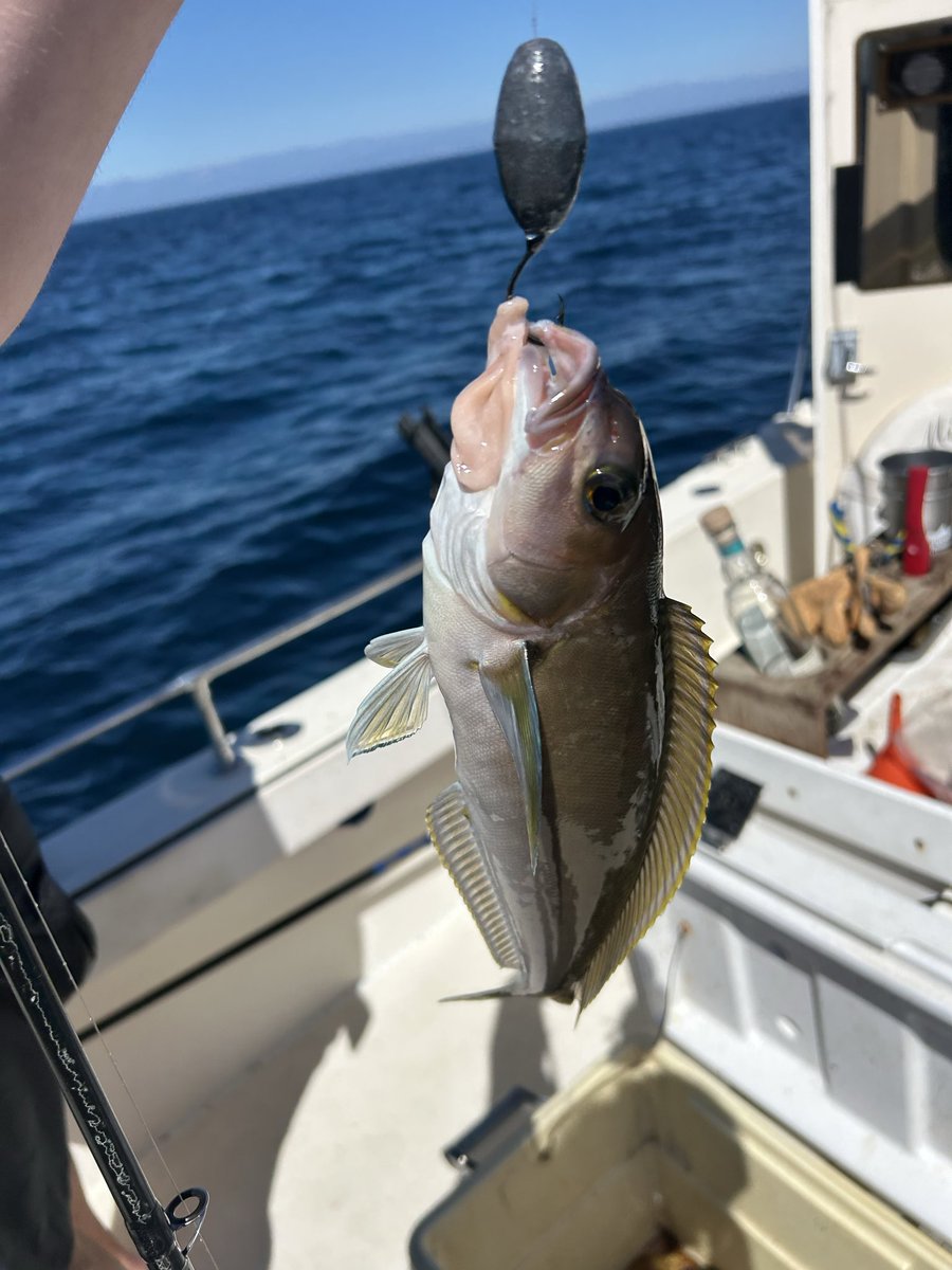 Rustygoogar tweet media