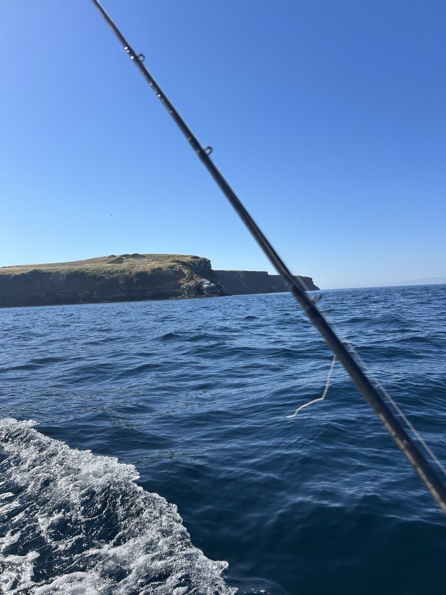 Rustygoogar tweet media