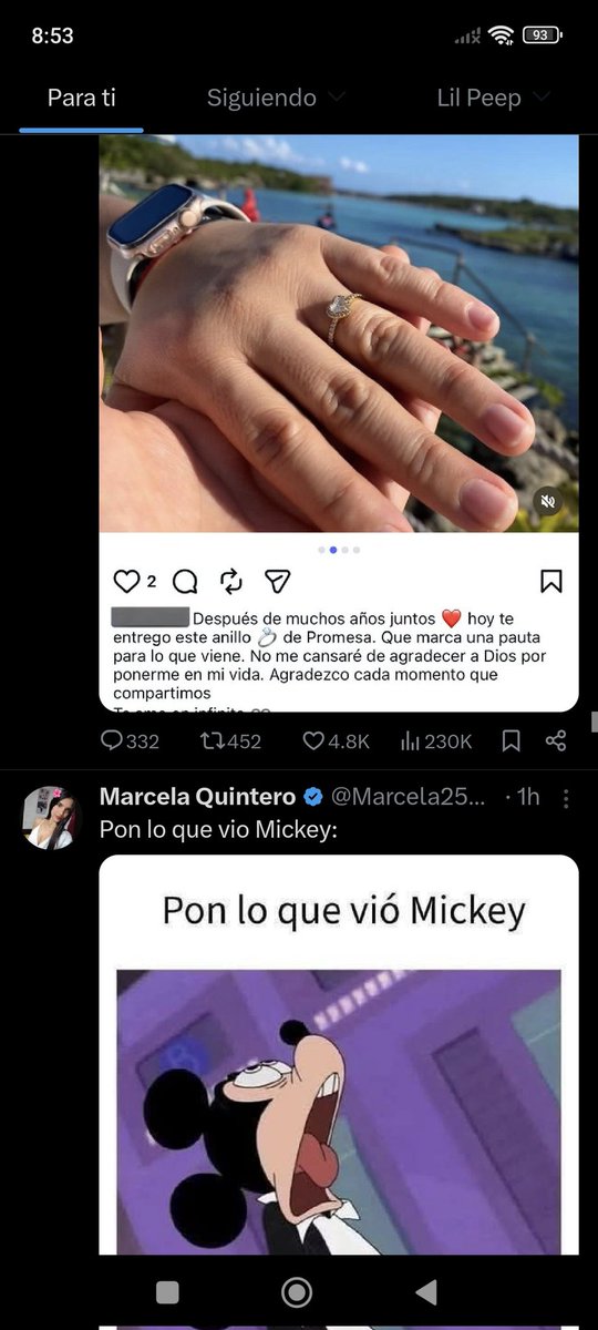 Pinshi Perro tweet media