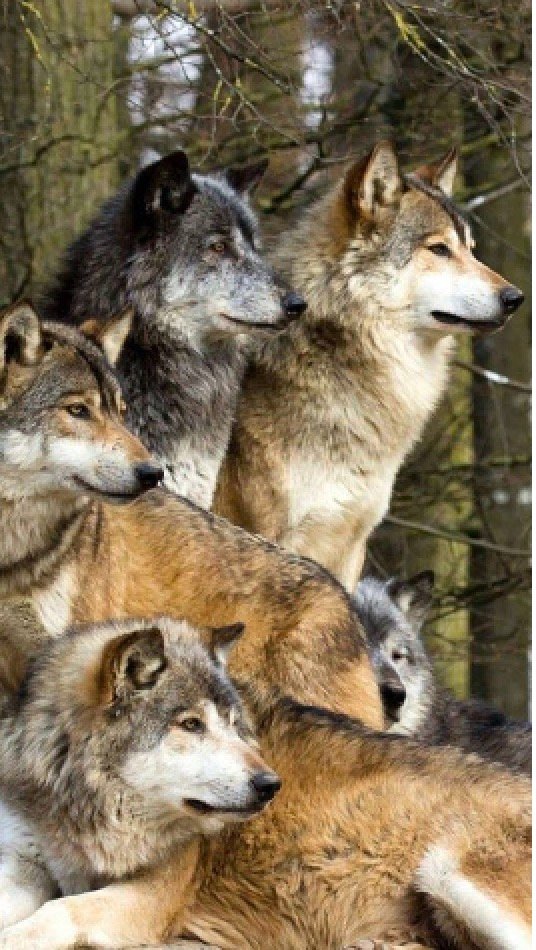 ✝️ ⚓️Doc Christian tweet media