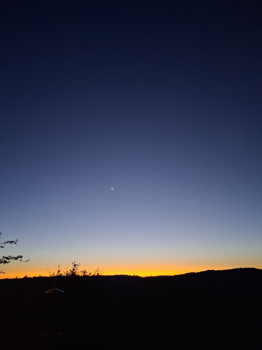 AmyLee Writer tweet media