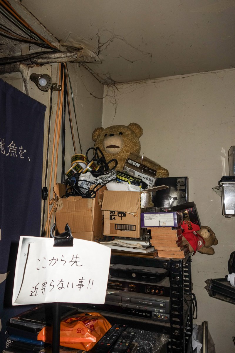 いねこ tweet media