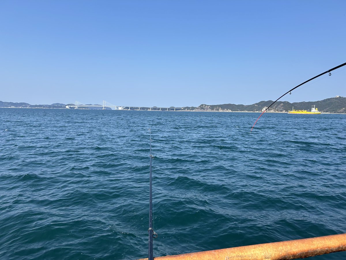 ぬべお🪫まいくら tweet media