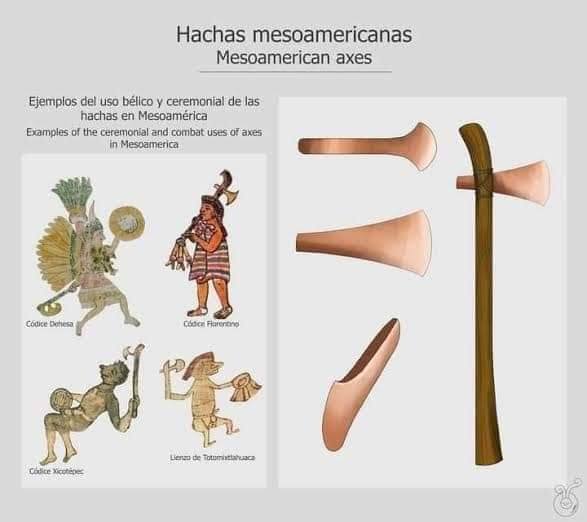 Revolucion Nacional Anahuaquista (RNA) ᛝ tweet media