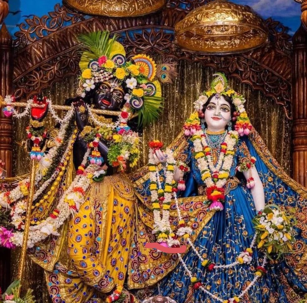 Athrix ☄️ tweet media