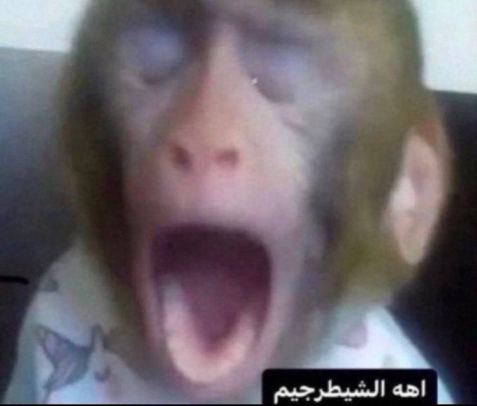 سُليمان tweet media