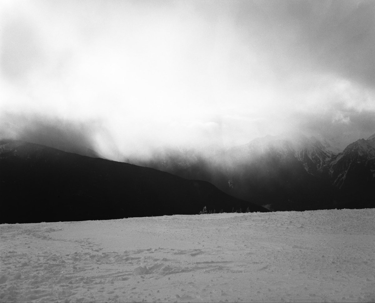 Renga 煉瓦 tweet media