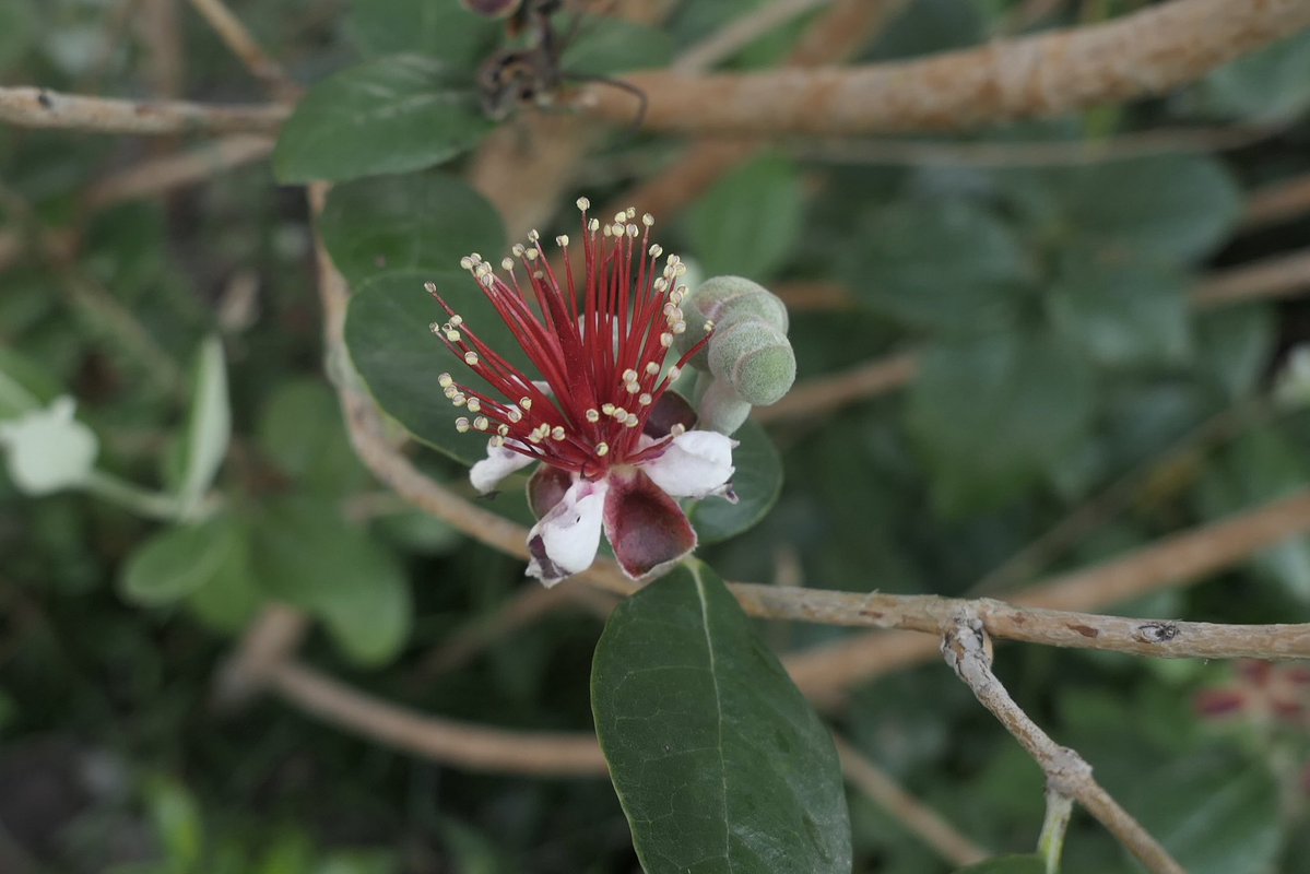 𝐃ora𝐃aemon tweet media