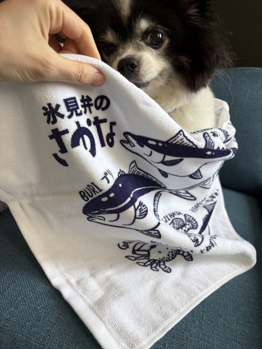 ノグチマリコ tweet media