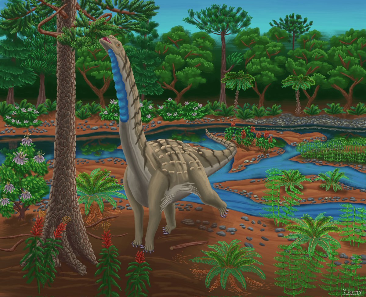 Yisarrax tweet media