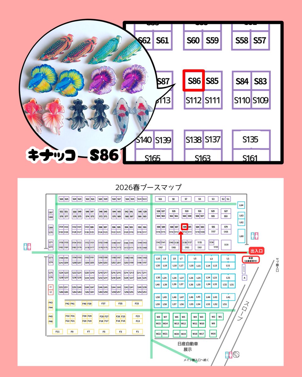 キナッコ🐟4/11-12博物マニア【35】 tweet media
