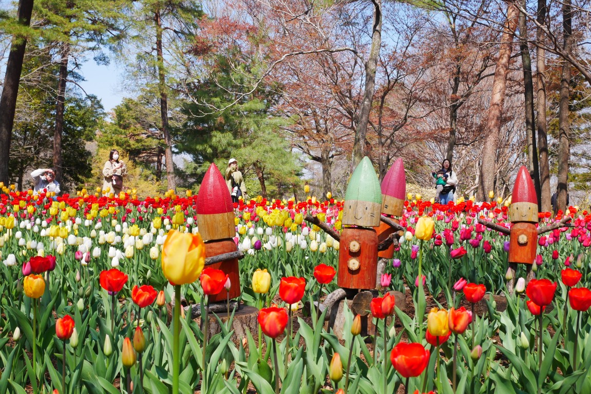 国営武蔵丘陵森林公園 tweet media