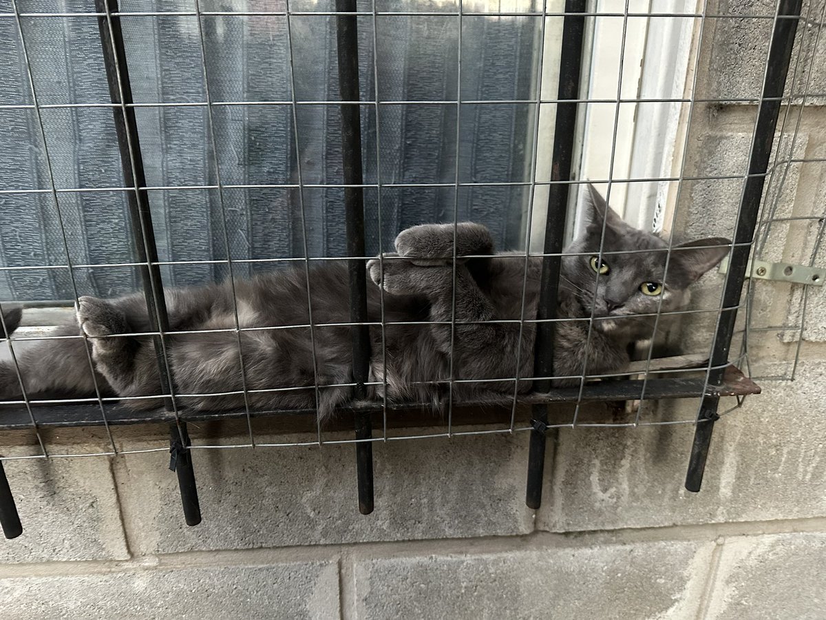 may._iiii tweet media