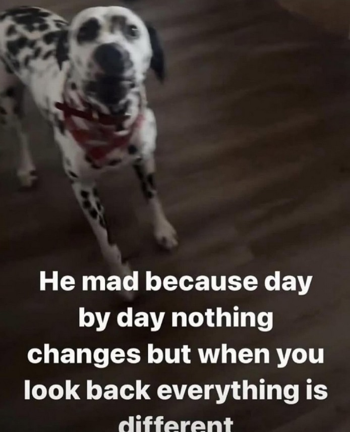 Tim says blm, get vaccinated, wear a mask 🇺🇦🍉 tweet media