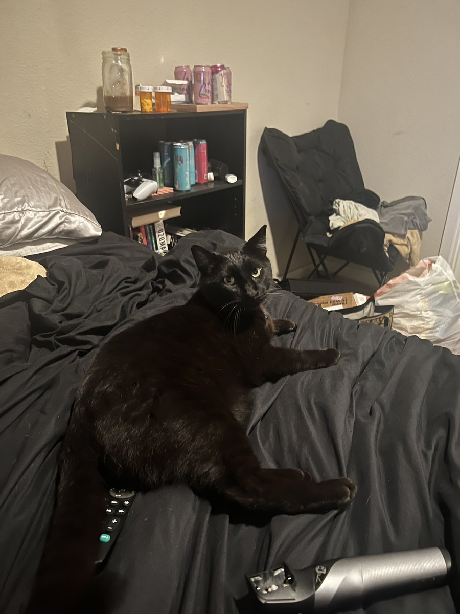 jules ☆ tweet media